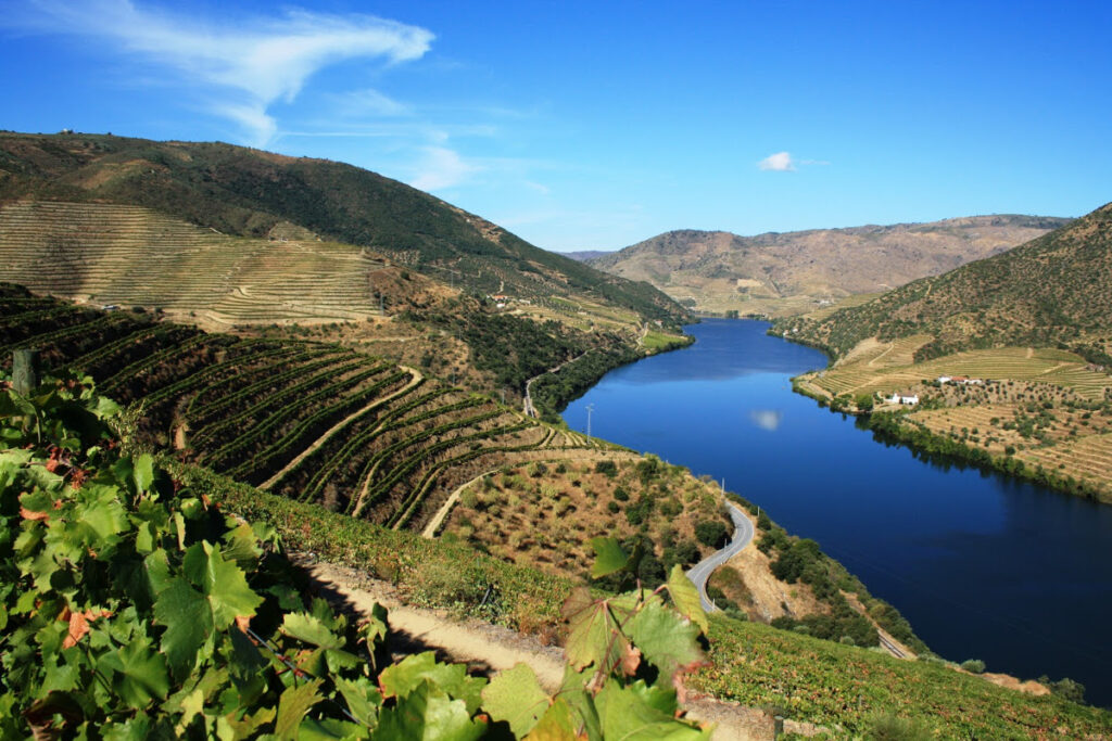 Vista do Rio Douro