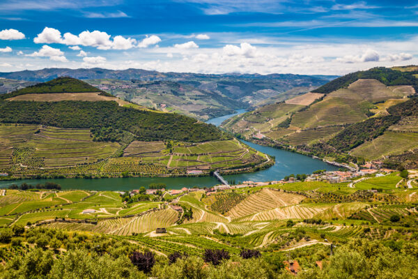 View Of Vineyards In Douro Valley From Double Viewpoint De Loivos - Vila Real District, Portugal, Europe